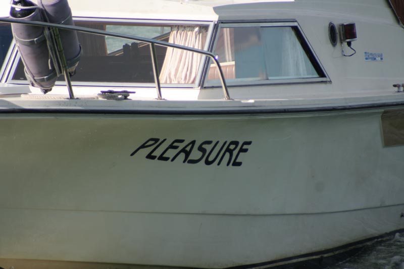 Marco Pleasure